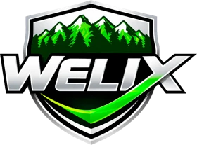Logo Welix