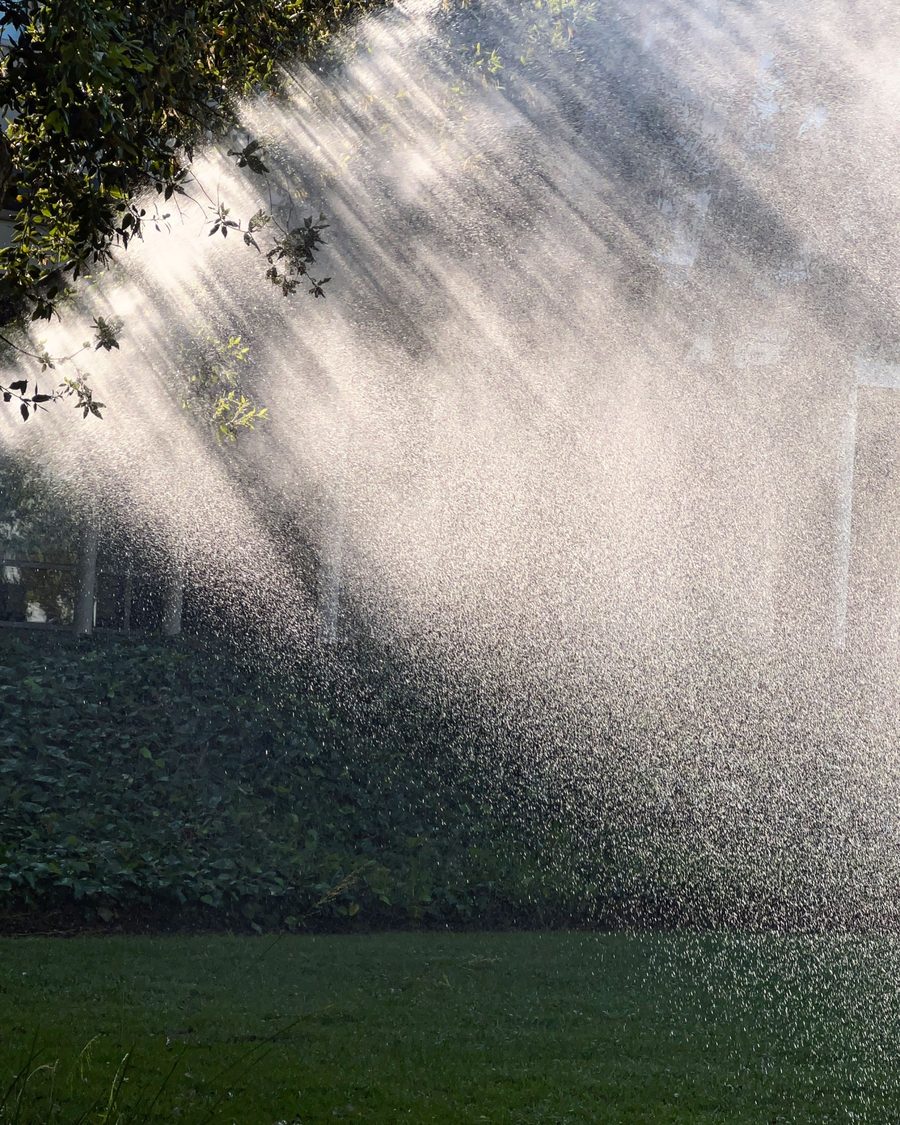 Arrosage d'un grand jardin, jets d'eau dans le soleil au-dessus de la pelouse et des haies